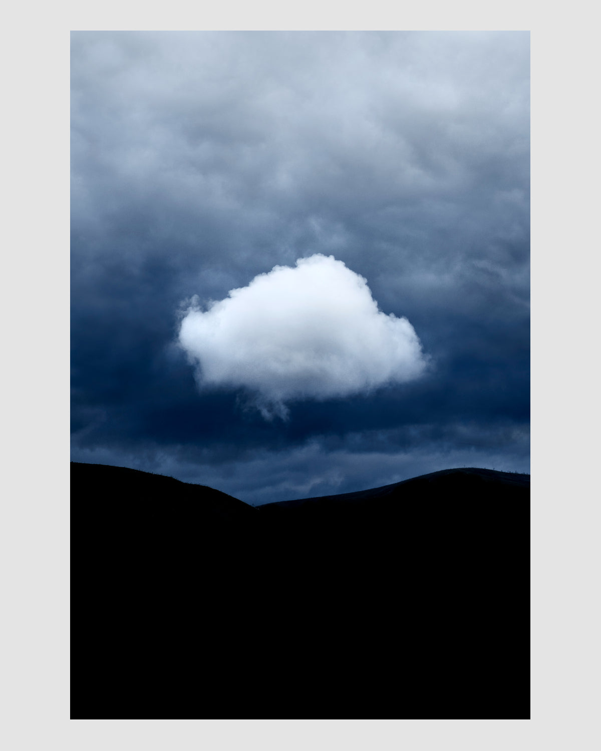 The Garden Route, 2020 (Photographic Print)