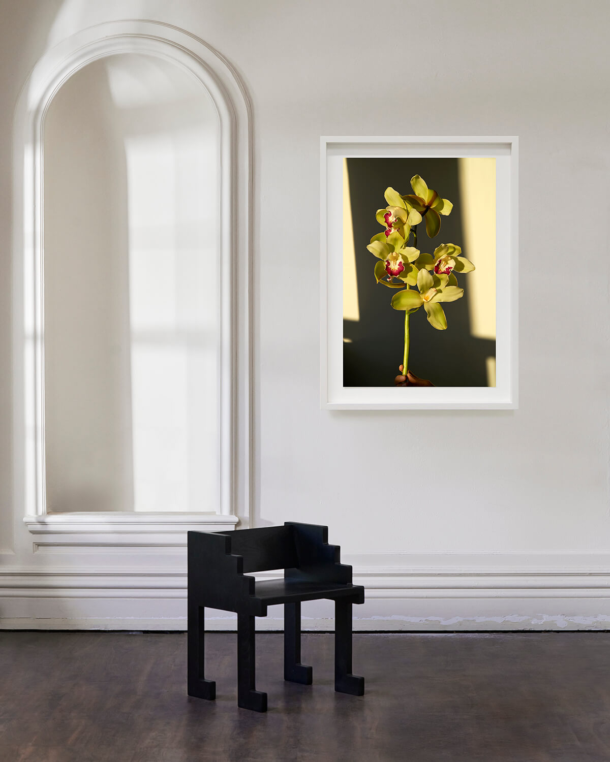 Orchid: Wilderness, 2020 (Photographic Print)