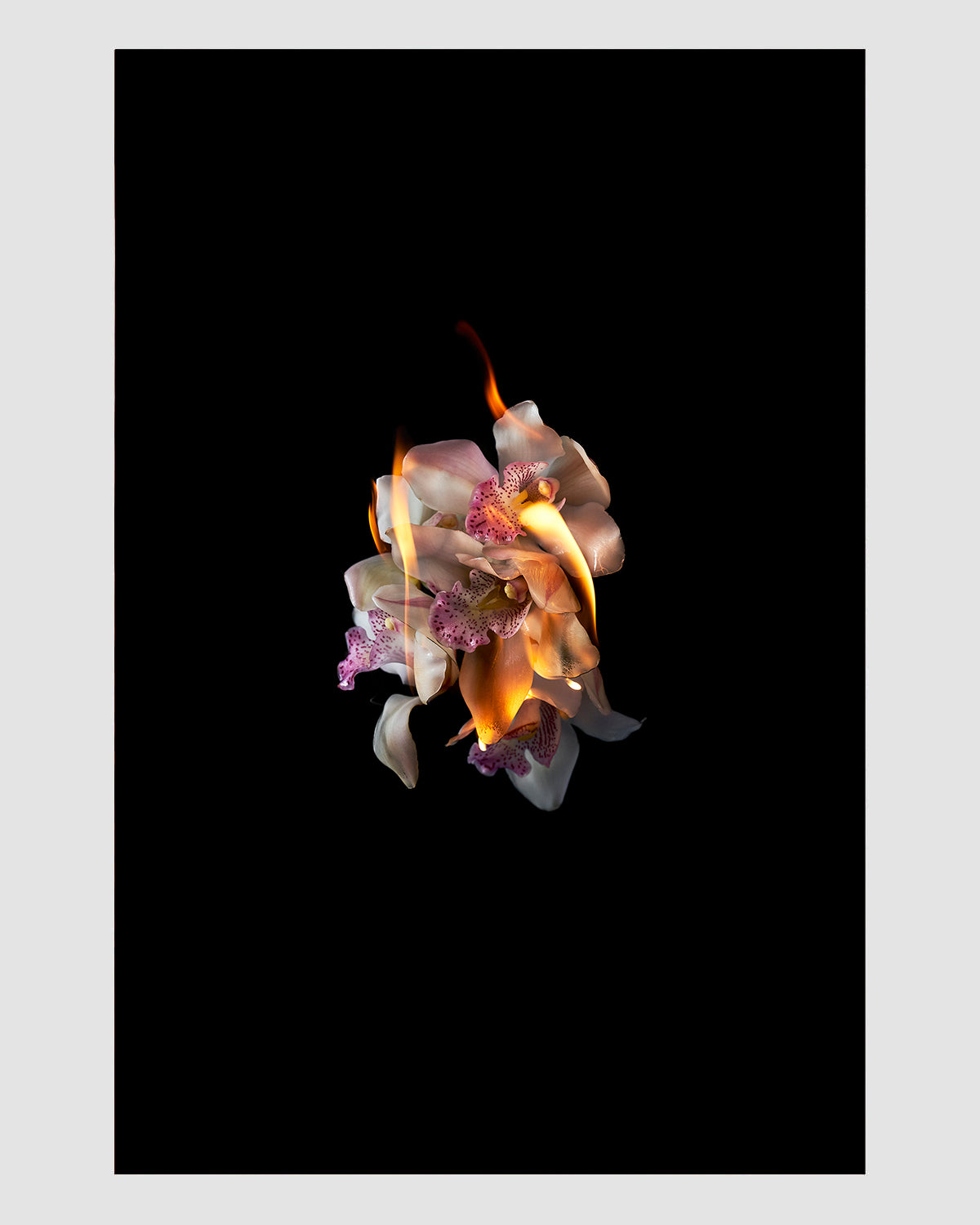 In the Flowers, 2022 (Photographic Print)