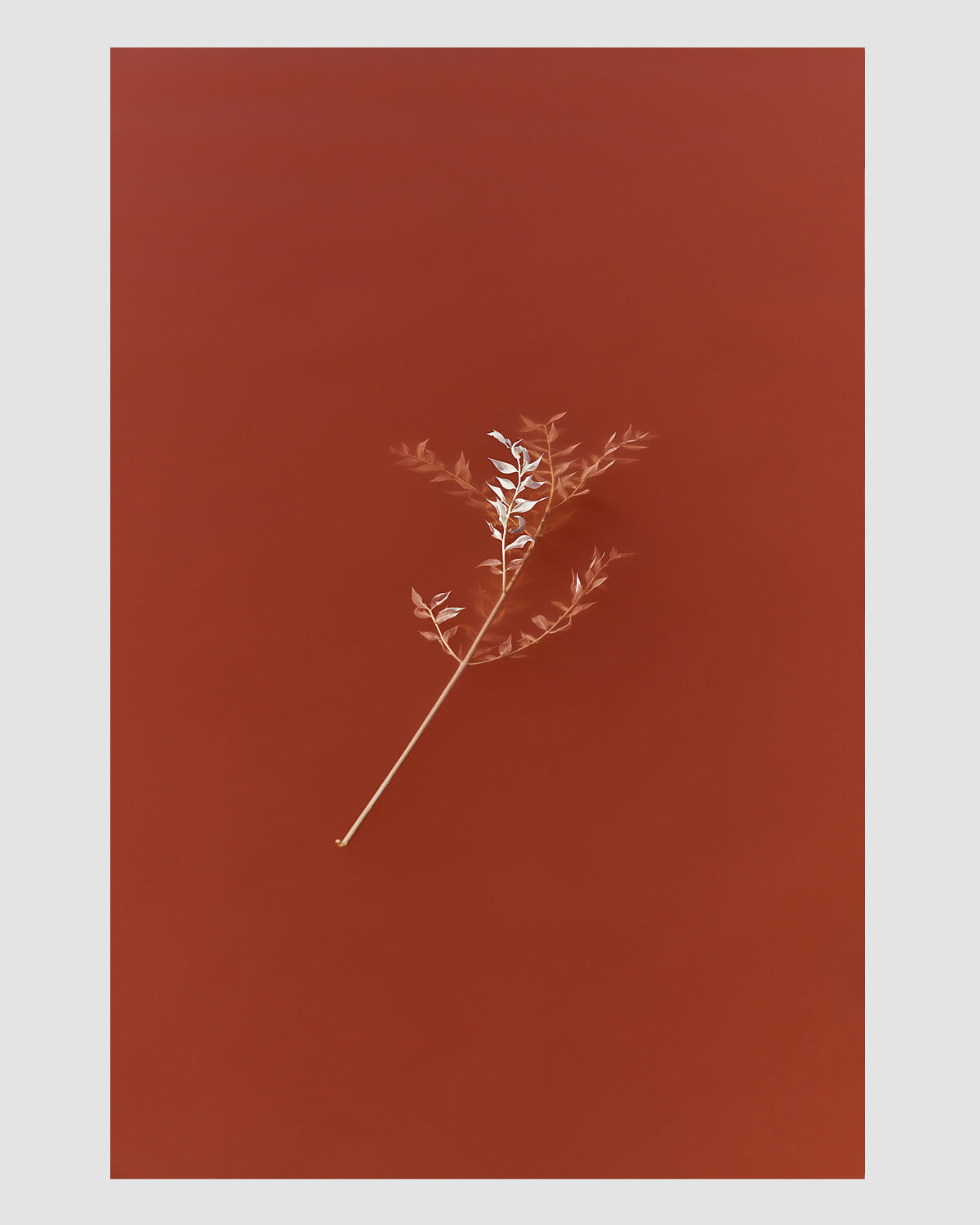 Veldrif I, 2022 (Photographic Print)