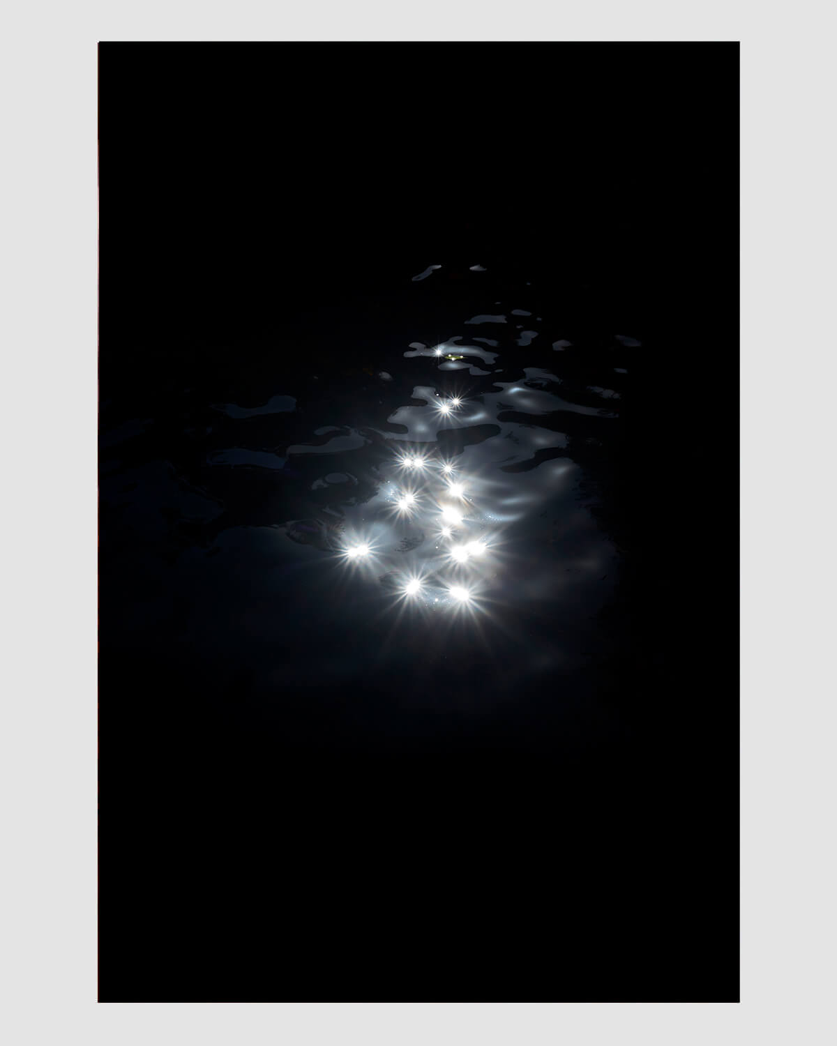 Wilderness, 2020 (Photographic Print)